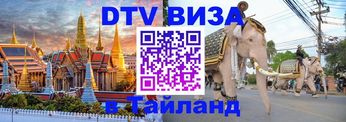Сколько стоит DTV виза — актуальные цены, оформление даже без документов - Благовещенск 